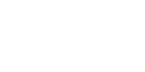 Blue Finn Media